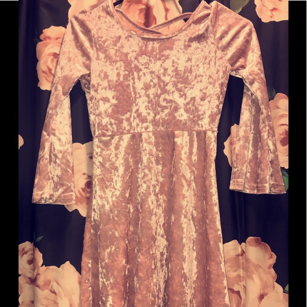 Blush Pink Velvet Dress